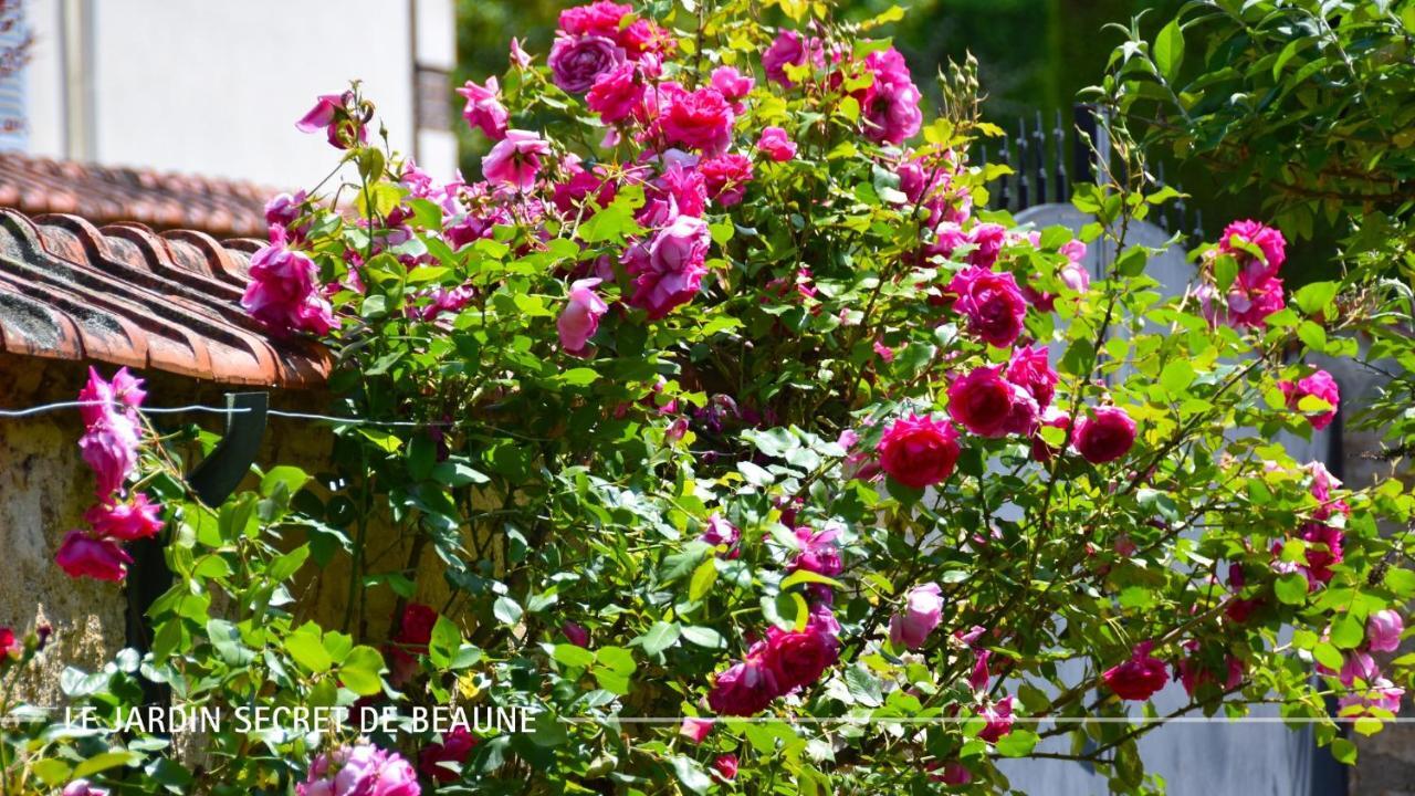 Le Jardin Secret De Beaune Beaune  Exteriér fotografie
